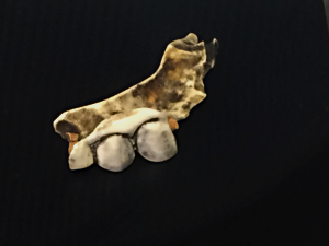 Photo of a partial denture attributed to Paul Revere.