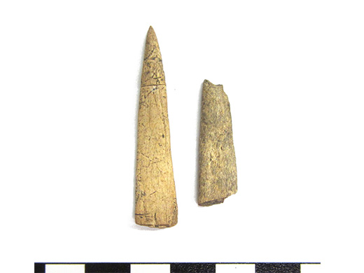  Projectile points. Bone, Ground and polished. Spectacle Island, MA.