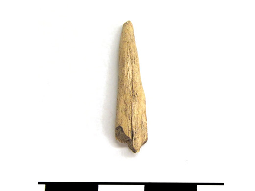  Awl or point tip.  Bone, Ground and polished. Calf Island.