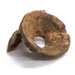 Beads. Bone (fish vertebrae fragments), Perforated. Grape Island.