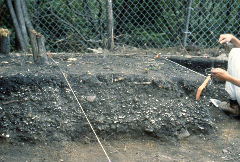 Spectacale Island shell midden
