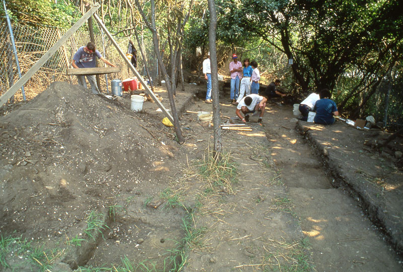 Spectacle Island shell Midden excavation
