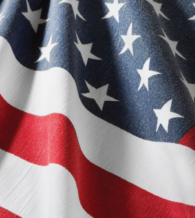 Help Combat Military Financial Fraud -American Flag