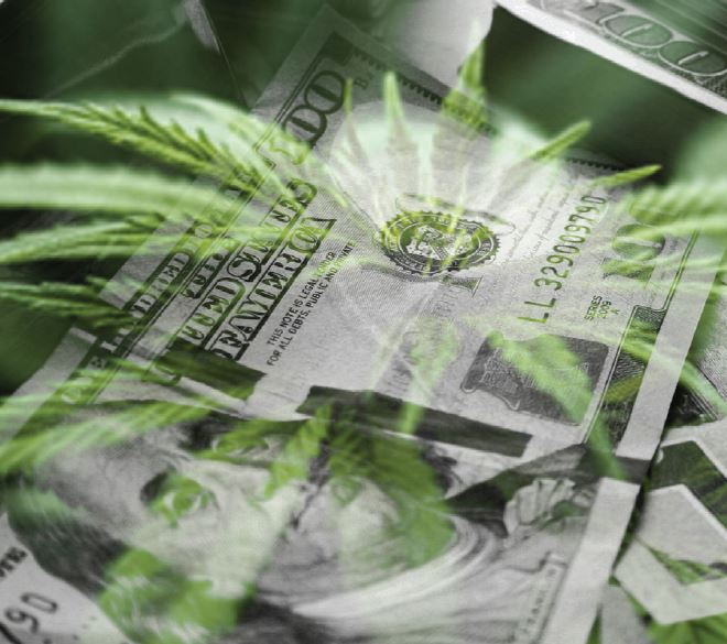 Marijuana - Related Investments and Fraud graphic. Pictured are low opacity Marijuana leaves superimpossed over a one hundred dollar bill.