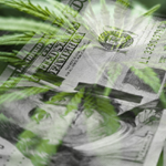 Marijuana investment related fraud brochure